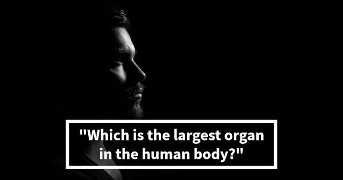 From Einstein To SpongeBob – Type The Right Answers To 35 General Knowledge Questions