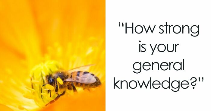 From Einstein To SpongeBob – Type The Right Answers To 35 General Knowledge Questions