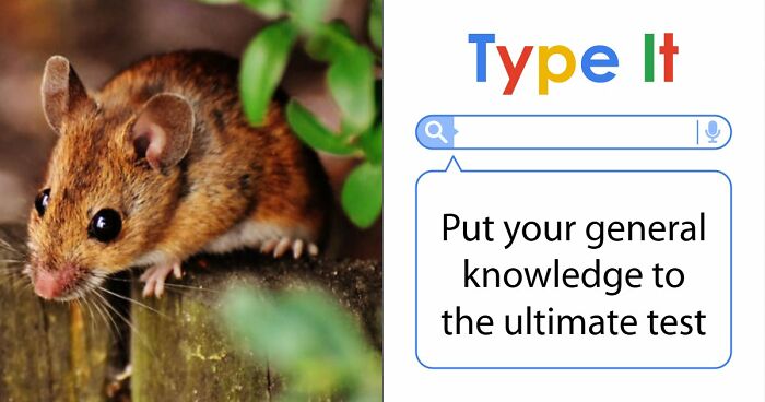 From Einstein To SpongeBob – Type The Right Answers To 35 General Knowledge Questions