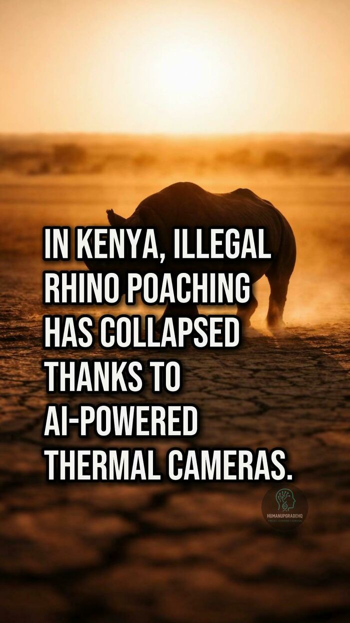 Rhino poaching in Kenya has collapsed due to AI-powered thermal cameras, a good thing that happened recently.