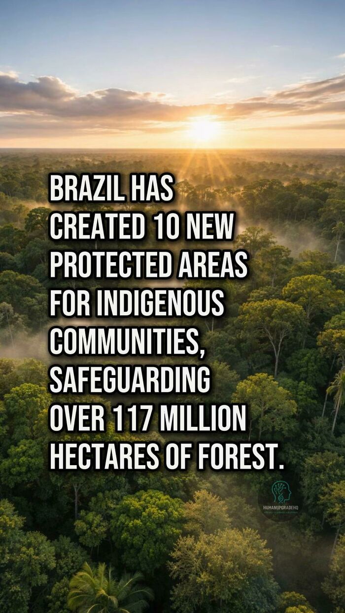 Sunrise over a lush forest representing good things that happened recently, highlighting new protected areas in Brazil.