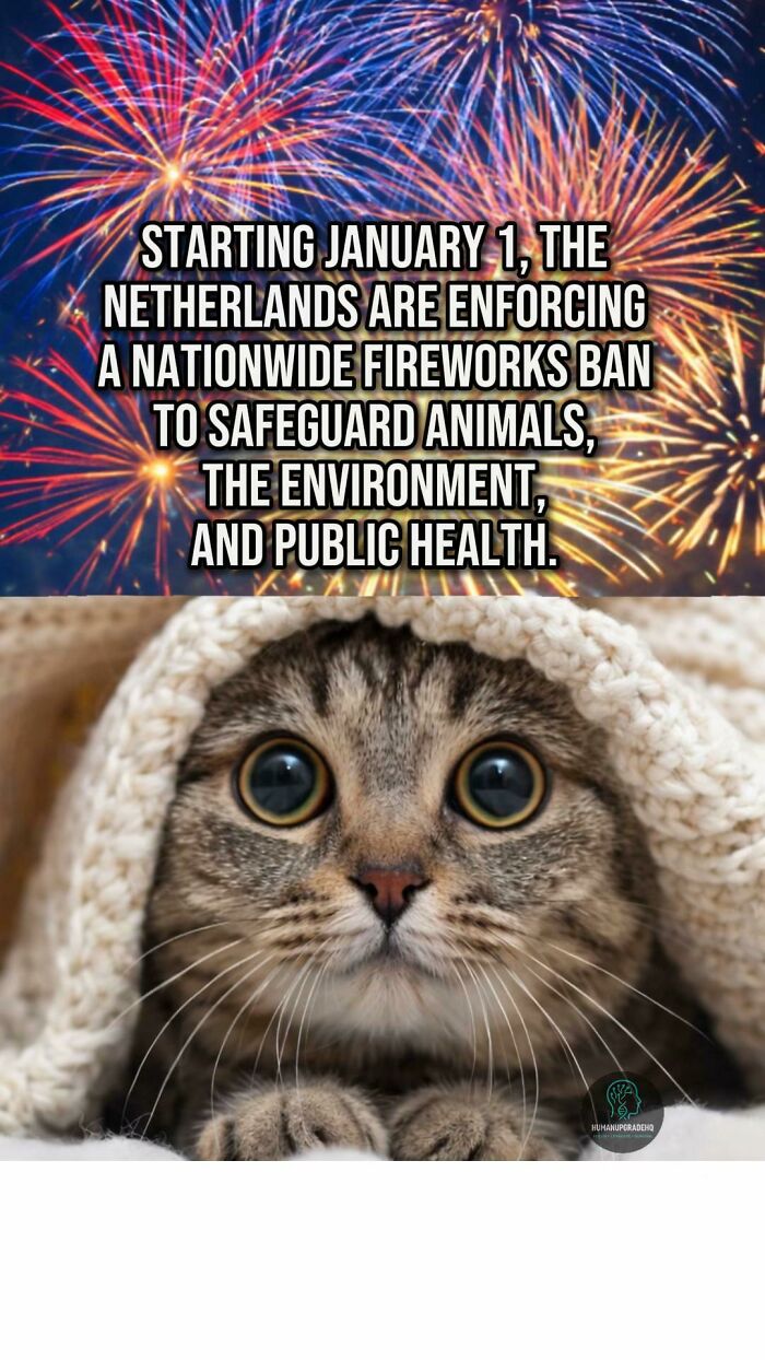 Fireworks ban in the Netherlands starting January to protect animals, environment, and public health, highlighting good recent news.