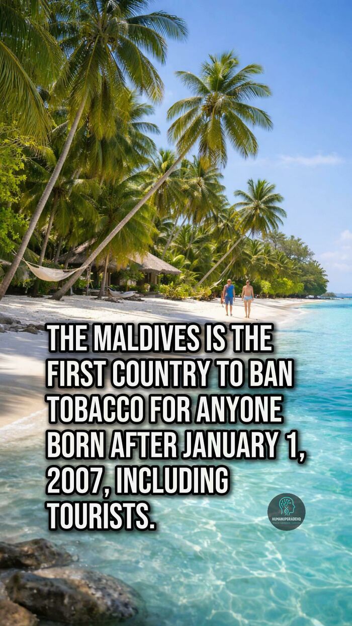 Tropical beach scene highlighting good things that happened recently with Maldives banning tobacco for future generations.