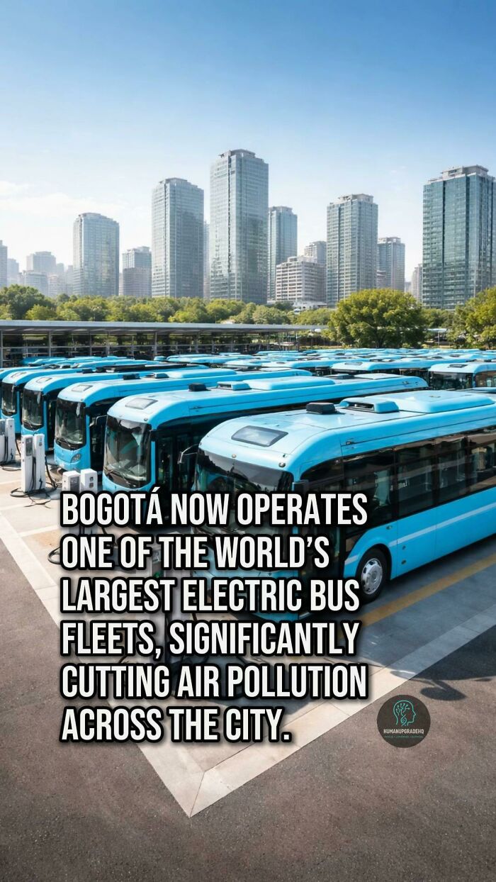 Row of blue electric buses in a city with skyscrapers, showcasing one of the world’s largest electric bus fleets reducing pollution.