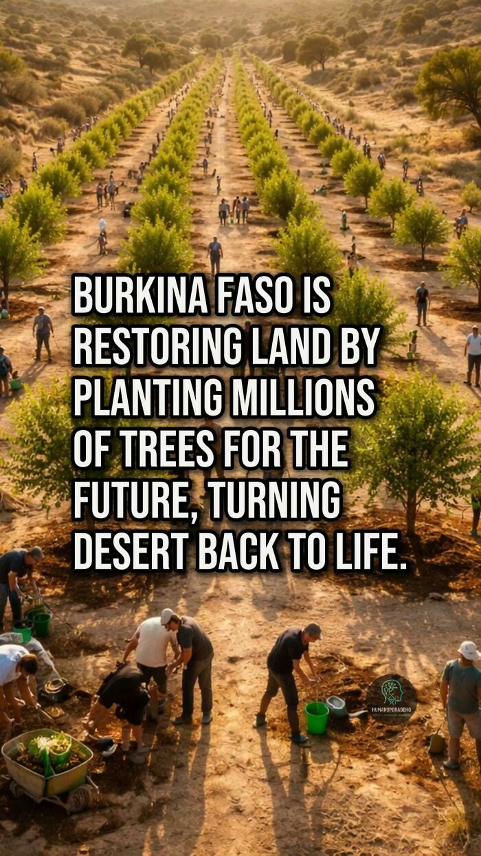 Rows of volunteers planting millions of trees in Burkina Faso to restore land and combat desertification for a better future.