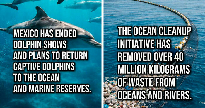 If The World Feels Overwhelming Right Now, Here Are 64 Bits Of Good News You Might Have Missed