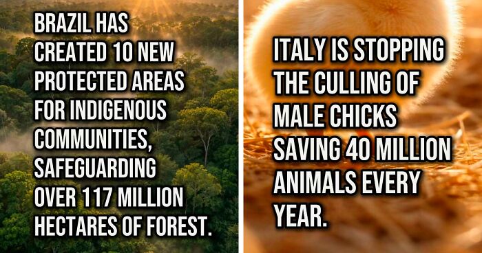 If The World Feels Overwhelming Right Now, Here Are 64 Bits Of Good News You Might Have Missed