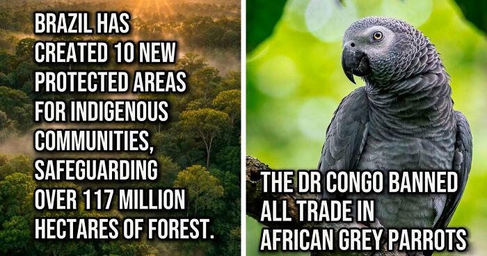 Tired Of Bad News? Here Are 64 Good Things That Happened Recently