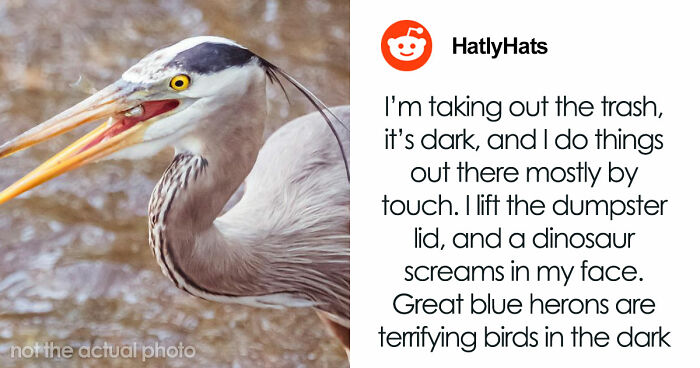 69 Times Graveyard Shift Workers Got So Scared Or Confused They Still Don’t Have Answers To This Day