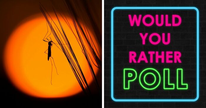 “Time But No Energy Or Energy But No Time?”: Pick Between 30 Painfully Difficult Scenarios