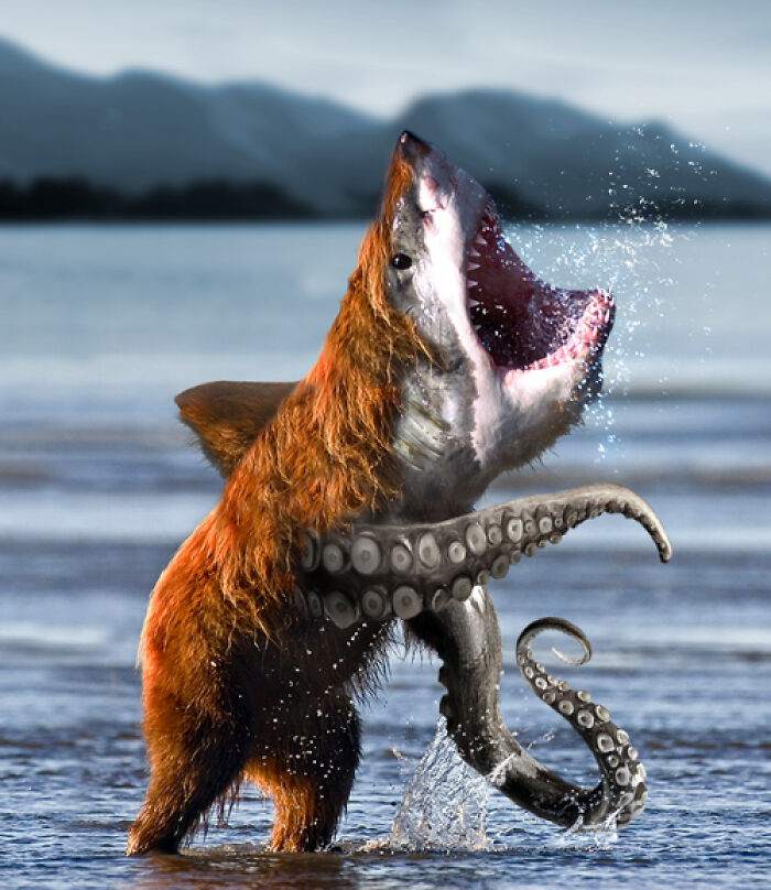 Bear with shark head and octopus tentacles standing in water, an unhinged and wild Photoshop edited image.