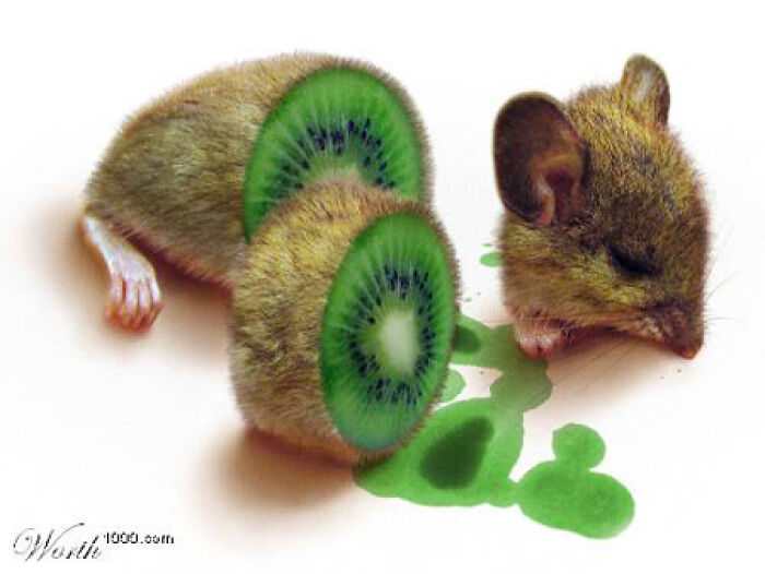 Mouse with a kiwi fruit body cut in half, spilling green juice, illustrating unhinged and wild pics without Photoshop.