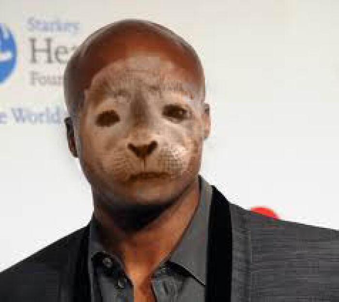 Man with digitally altered lion face in a wild and unhinged pic showing effects if Photoshop disappeared.