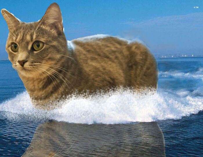 A surreal unhinged photo of a giant cat riding ocean waves, illustrating wild pics without Photoshop edits.