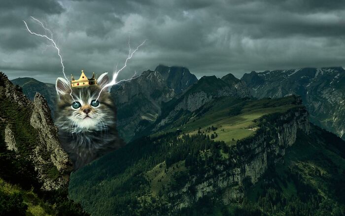 Surreal image of a kitten wearing a crown with lightning bolts over mountains highlighting unhinged and wild pics without Photoshop.