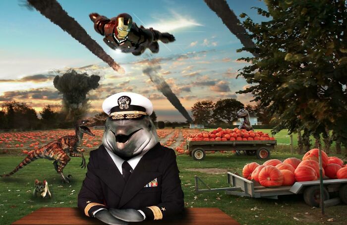 Surreal scene with a dolphin in a naval uniform, dinosaurs, Iron Man, and pumpkins in an unhinged wild Photoshop pic.