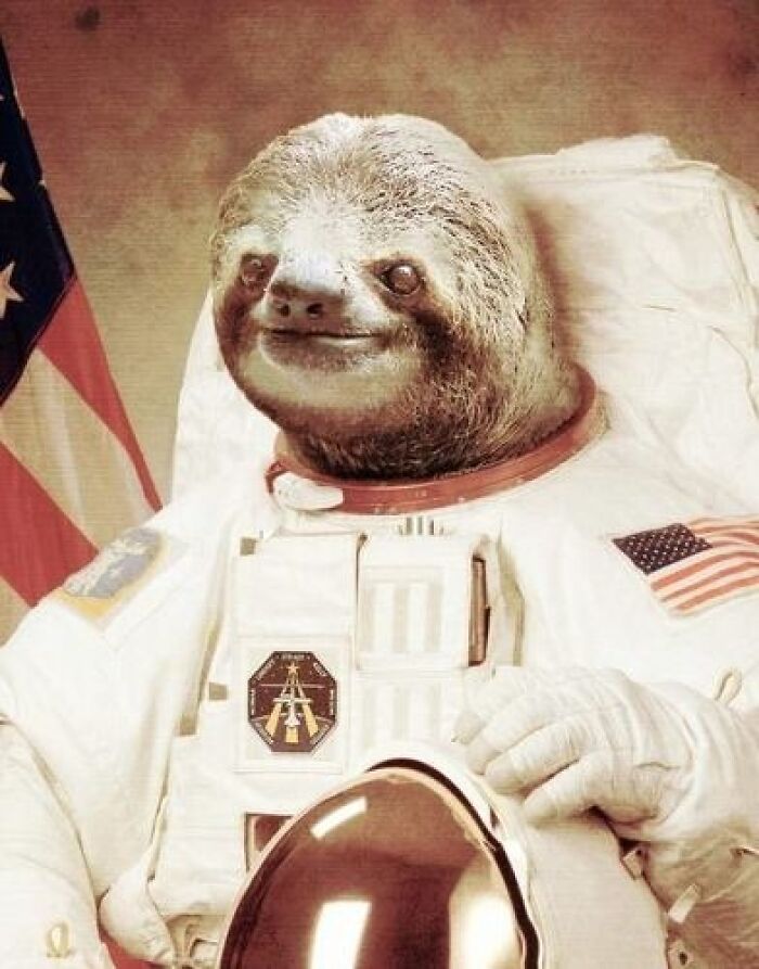 Sloth with a smiling expression dressed as an astronaut holding a helmet in an unhinged and wild photoshopped image.