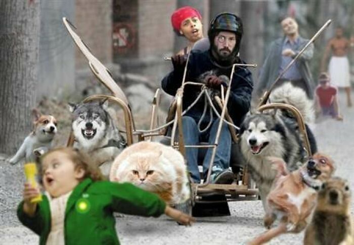 Man riding an unusual dog-drawn chariot with wild animals and a surprised child in a chaotic street scene.