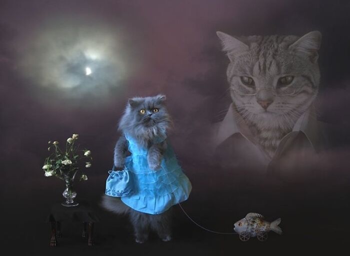 Surreal Photoshop image of a cat in a blue dress walking a fish on a leash under a moonlit sky with a giant cat face.