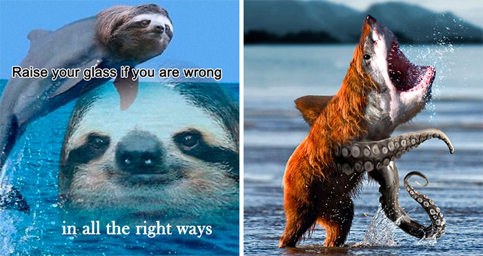 56 Of The Most Wild And Unhinged Photoshop Pics