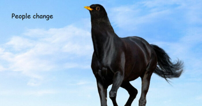 56 Of The Most Wild And Unhinged Photoshop Pics