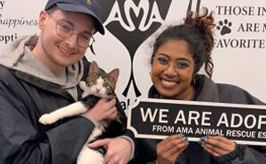 30 Rescue Transformations That Remind Us Why Second Chances Matter