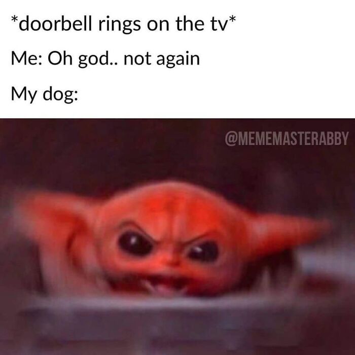 Funny dog meme showing an angry dog reacting to a doorbell ringing on the TV, capturing hilarious dog moments.