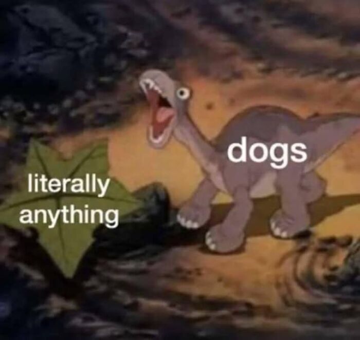 Funny dog meme with animated dinosaur labeled dogs reacting excitedly to a leaf labeled literally anything.