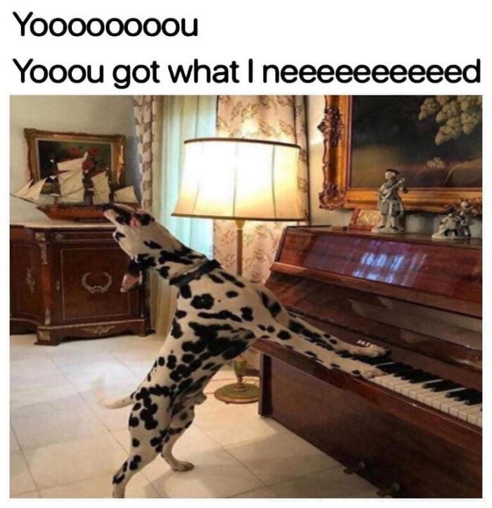 Dalmatian dog appears to sing loudly while standing on hind legs at an old piano in a humorous dog meme.