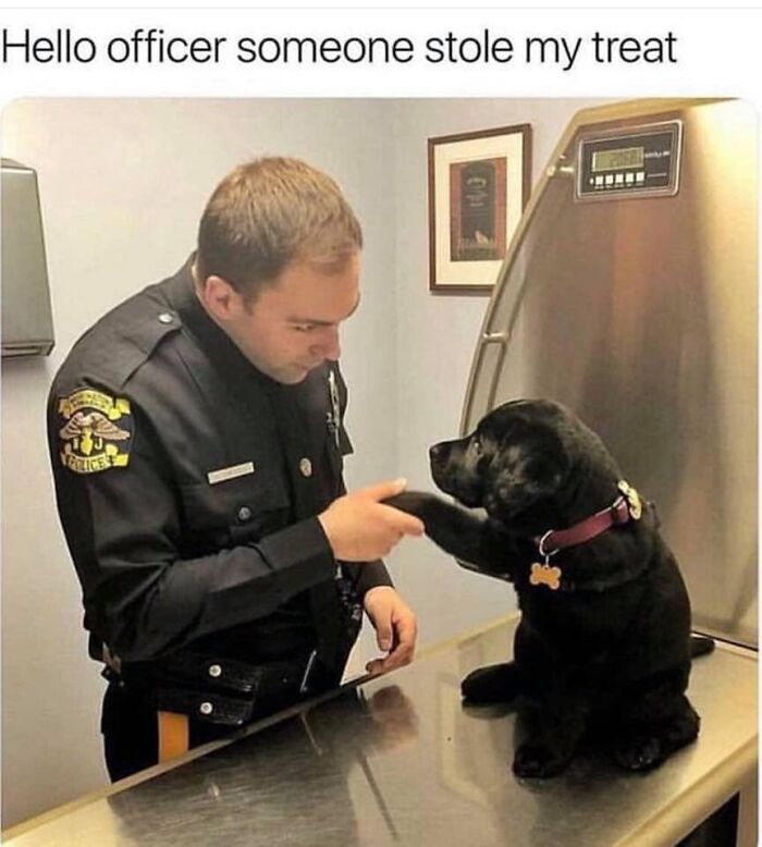 Police officer shaking paw with black dog at vet, a funny dog moment perfect for amazing dog memes.