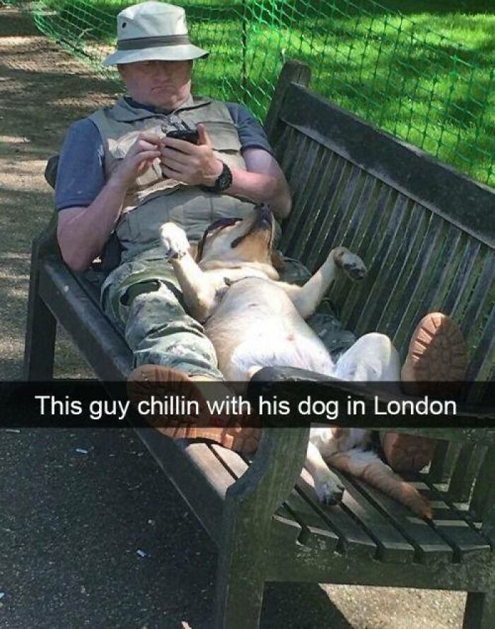 Man relaxing on a bench with his dog lying on its back, showcasing one of the funniest dog meme moments outdoors.