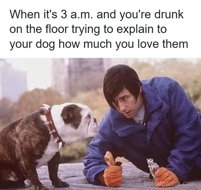 Man in blue jacket on the floor talking to a bulldog, capturing one of the funniest dog moments turned into amazing memes.