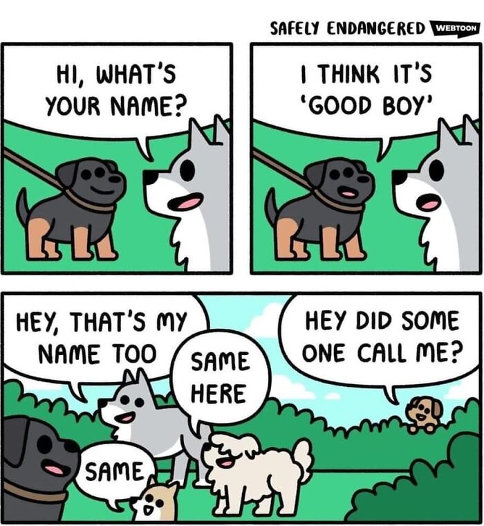Comic strip of dogs humorously discussing names, capturing funny moments perfect for dogs funny memes.
