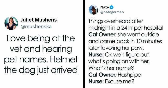 57 Pet Names So Unhinged Even Pharmacists Had To Laugh