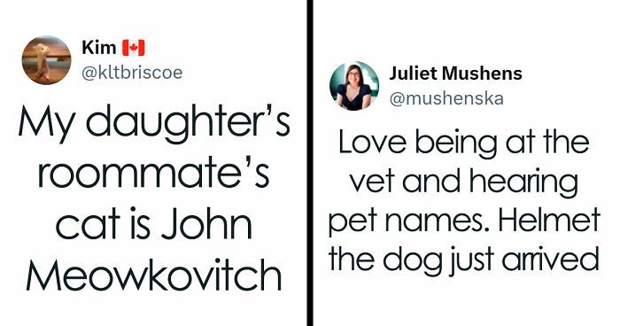 57 Pet Names So Unhinged Even Pharmacists Had To Laugh