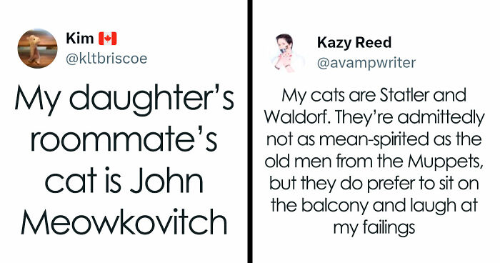 57 Pet Names So Unhinged Even Pharmacists Had To Laugh