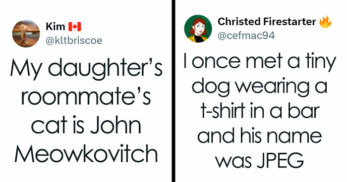 57 Pet Names So Unhinged Even Pharmacists Had To Laugh