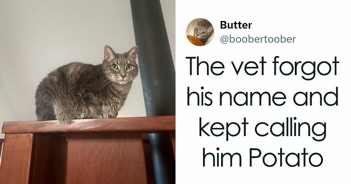 57 Pet Names So Unhinged Even Pharmacists Had To Laugh