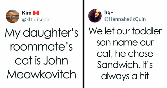 57 Pet Names So Unhinged Even Pharmacists Had To Laugh