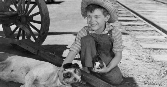 Plus-Size Woman Goes Viral After Calling Out Airline For Forcing Her To Buy A Second Seat, Splits The Internet