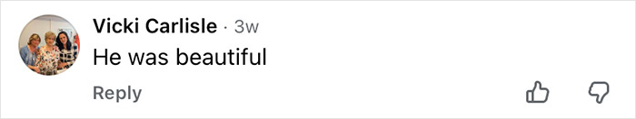 Screenshot of a comment reading He was beautiful, related to how Mickey Rourke would look today without cosmetic procedures.