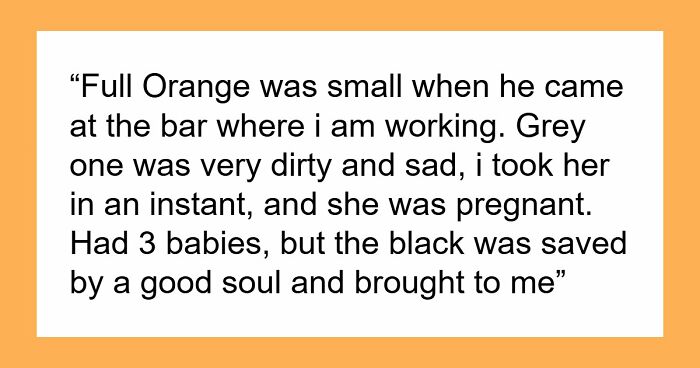 30 Heart-Melting Stories Which Prove That The Cat Chooses Its Parent, Not The Other Way Round