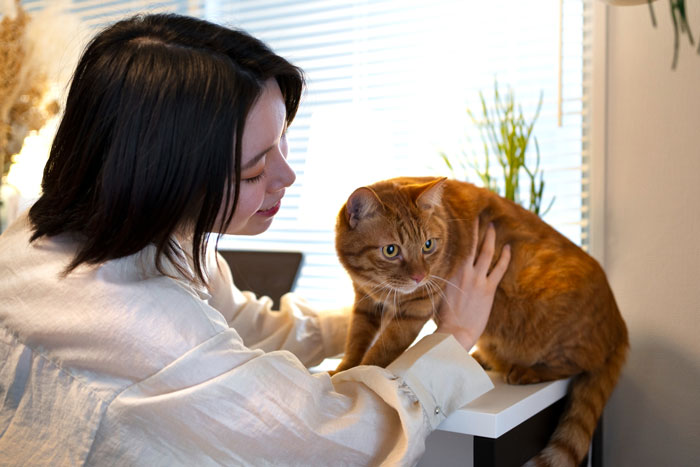 Woman checking on jailed husband's cats, gently petting an orange tabby by a sunlit window indoors.