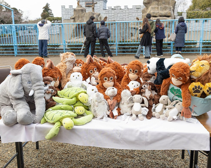 Stuffed animals including baby monkey toys displayed on a table as gifts praised by IKEA for baby monkey Punch who went viral after abandonment. Stuffed animals including baby monkey toys displayed on a table as gifts praised by IKEA for baby monkey Punch who went viral after abandonment.