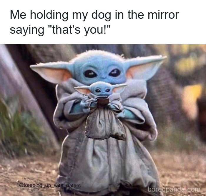 Cute dog meme featuring Baby Yoda holding a smaller Baby Yoda, highlighting funny dogs turned into amazing memes.