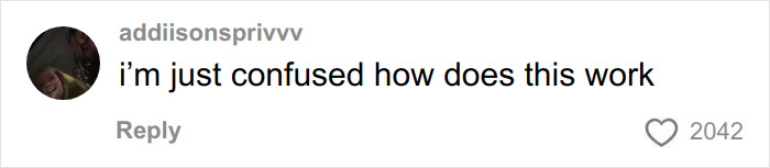 Comment on social media reacting with confusion to Chappell Roan Grammys outfit sparking online outrage.