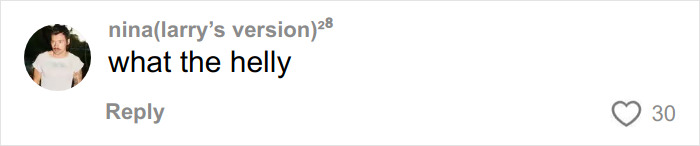 Screenshot of an online comment reacting to Chappell Roan&rsquo;s Grammys outfit with outrage and disbelief.