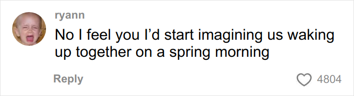 ALT text: Social media comment about imagining waking up together, related to woman&rsquo;s travel encounter with kind stranger on plane.