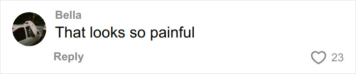 Screenshot of a social media comment reacting to Chappell Roan&rsquo;s Grammys outfit with outrage and criticism.