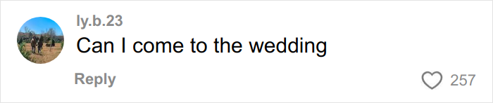 Comment on social media post saying Can I come to the wedding, related to woman sharing travel encounter with kind stranger on plane.